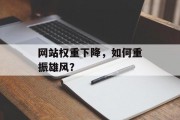 网站权重下降,如何重振雄风? 网站权重下降,如何重振雄风?