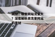 揭秘，哪些网站流量大？深度解析高流量网站的奥秘