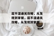 尿不湿通关攻略,从发现到掌握,尿不湿通关攻略,从发现到掌握