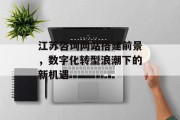 江苏咨询网站搭建前景,数字化转型浪潮下的新机遇 江苏咨询网站搭建前景,数字化转型浪潮下的新机遇