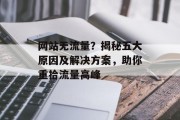 网站无流量?揭秘五大原因及解决方案,助你重拾流量高峰 网站无流量?揭秘五大原因及解决方案,助你重拾流量高峰