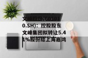 文峰股份(601010.SH):控股股东文峰集团拟转让5.41%股份给上海嘉鸿 文峰股份(601010.SH):控股股东文峰集团拟转让5.41%股份给上海嘉鸿