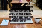 药剂通关攻略，关键节点解析及如何应对策略调整，药剂通关攻略，关键节点解析与应对策略调整技巧分享