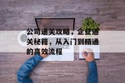 公司通关攻略,企业通关秘籍,从入门到精通的高效流程