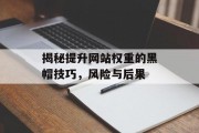揭秘提升网站权重的黑帽技巧,风险与后果 揭秘提升网站权重的黑帽技巧,风险与后果