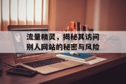 流量精灵,揭秘其访问别人网站的秘密与风险 流量精灵,揭秘其访问别人网站的秘密与风险