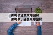 抓鸭子通关攻略图解,抓鸭子,通关攻略图解