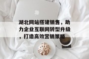 湖北网站搭建销售,助力企业互联网转型升级,打造高效营销策略 湖北网站搭建销售,助力企业互联网转型升级,打造高效营销策略