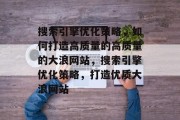 搜索引擎优化策略,如何打造高质量的高质量的大浪网站,搜索引擎优化策略,打造优质大浪网站