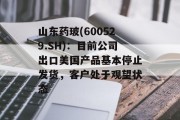山东药玻(600529.SH)：目前公司出口美国产品基本停止发货，客户处于观望状态