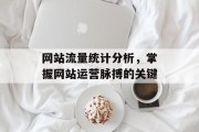 网站流量统计分析,掌握网站运营脉搏的关键 网站流量统计分析,掌握网站运营脉搏的关键