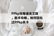 PPkp攻略通关之路，新手攻略，如何轻松过PPkp关卡