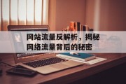 网站流量反解析，揭秘网络流量背后的秘密