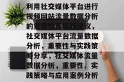 利用社交媒体平台进行视频网站流量数据分析的重要性及实践建议，社交媒体平台流量数据分析，重要性与实践策略分享，社交媒体流量数据分析，重要性、实践策略与应用案例分析