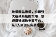 批量网站流量,构建强大在线商店的策略,快速搭建爆款电商平台,从1人到团队实战策略 批量网站流量,构建强大在线商店的策略,快速搭建爆款电商平台,从1人到团队实战策略