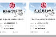 中小银行股权成拍卖台常客 接盘方缘何“难觅” 中小银行股权成拍卖台常客 接盘方缘何“难觅”