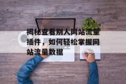 揭秘查看别人网站流量插件，如何轻松掌握网站流量数据