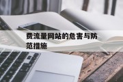 费流量网站的危害与防范措施 费流量网站的危害与防范措施