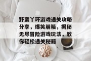 野蛮丫环游戏通关攻略分享,爆笑崩箱,揭秘无尽冒险游戏玩法,教你轻松通关秘籍