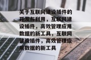 关于互联网建设插件的开发与利用，互联网建设插件，高效管理应用数据的新工具，互联网建设插件，高效管理应用数据的新工具