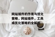 网站插件的作用与优化策略,网站插件,工具或优化策略的全解析 网站插件的作用与优化策略,网站插件,工具或优化策略的全解析