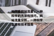 如何看网站流量,一种科学的方法和技巧,网站流量分析,一种科学方法和技术指南 如何看网站流量,一种科学的方法和技巧,网站流量分析,一种科学方法和技术指南