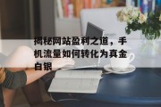 揭秘网站盈利之道，手机流量如何转化为真金白银