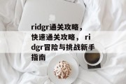 ridgr通关攻略，快速通关攻略， ridgr冒险与挑战新手指南