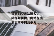 狼雨SEO网站排名,揭秘如何提升网站在搜索引擎中的竞争力 狼雨SEO网站排名,揭秘如何提升网站在搜索引擎中的竞争力