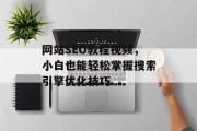 网站SEO教程视频,小白也能轻松掌握搜索引擎优化技巧 网站SEO教程视频,小白也能轻松掌握搜索引擎优化技巧