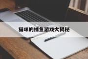 猫咪的捕鱼游戏大揭秘 猫咪的捕鱼游戏大揭秘