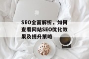 SEO全面解析,如何查看网站SEO优化效果及提升策略 SEO全面解析,如何查看网站SEO优化效果及提升策略