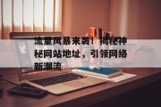 流量风暴来袭!揭秘神秘网站地址,引领网络新潮流 流量风暴来袭!揭秘神秘网站地址,引领网络新潮流