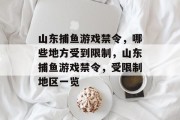 山东捕鱼游戏禁令，哪些地方受到限制，山东捕鱼游戏禁令，受限制地区一览