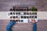 网站访问统计插件的使用与分析,网站访问统计插件,数据驱动的用户行为分析 网站访问统计插件的使用与分析,网站访问统计插件,数据驱动的用户行为分析