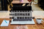 Linux监控网站流量详解及策略应用，linux监控网站流量详解，策略应用技巧解析