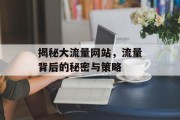 揭秘大流量网站,流量背后的秘密与策略 揭秘大流量网站,流量背后的秘密与策略