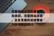 流量网站运营的重要性及挑战，流量网站运营，企业发展的关键要素与困难挑战探讨