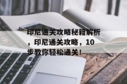 印尼通关攻略秘籍解析，印尼通关攻略，10步教你轻松通关！