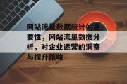 网站流量数据统计的重要性，网站流量数据分析，对企业运营的洞察与提升策略
