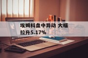 埃姆科盘中异动 大幅拉升5.17% 埃姆科盘中异动 大幅拉升5.17%