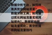 数据分析平台，如何利用其优化网站流量？，数据分析工具，如何通过优化网站流量实现网站提升?，数据驱动网站流量优化，用分析提升网站流量技巧