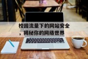 校园流量下的网站安全,揭秘你的网络世界 校园流量下的网站安全,揭秘你的网络世界