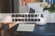 新建网站流量低迷？五大策略助你突破困境