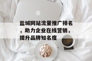 盐城网站流量推广排名,助力企业在线营销,提升品牌知名度 盐城网站流量推广排名,助力企业在线营销,提升品牌知名度
