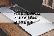 伟鸿集团控股(03321.HK)：赵智华辞任执行董事