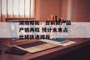 湖南裕能:目前新产品产销两旺 预计未来占比将快速提升 湖南裕能:目前新产品产销两旺 预计未来占比将快速提升