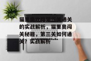 猫里奥攻略第三关通关的实战解析,猫里奥闯关秘籍,第三关如何通关?实战解析