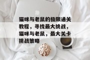 猫咪与老鼠的极限通关教程，寻找最大挑战，猫咪与老鼠，最大关卡挑战策略