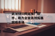 武汉SEO网站推广软件,助力企业高效拓展网络市场 武汉SEO网站推广软件,助力企业高效拓展网络市场